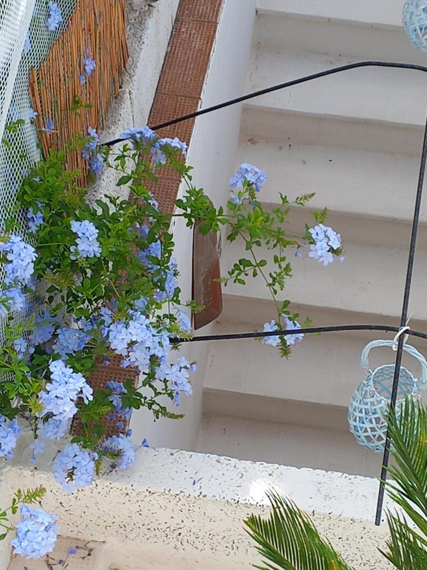 Nel Salento1 Ferienhaus